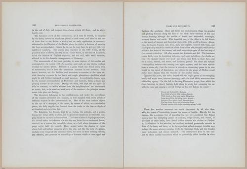 E538 - Switzerland - i25802-25803